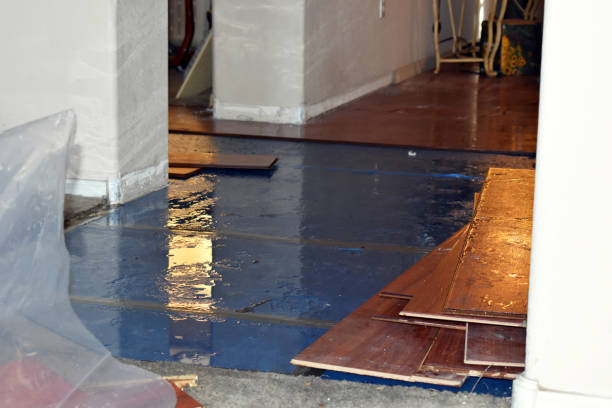 Professional Water Damage Restoration technician working in Wetmore, CO